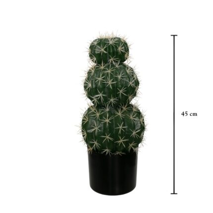 CACTUS ECHINOCACTUS GRUSONII 45CM *V.OSCURO