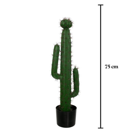 PLANTA CACTUS CEREUS 75CM *V.OSCURO
