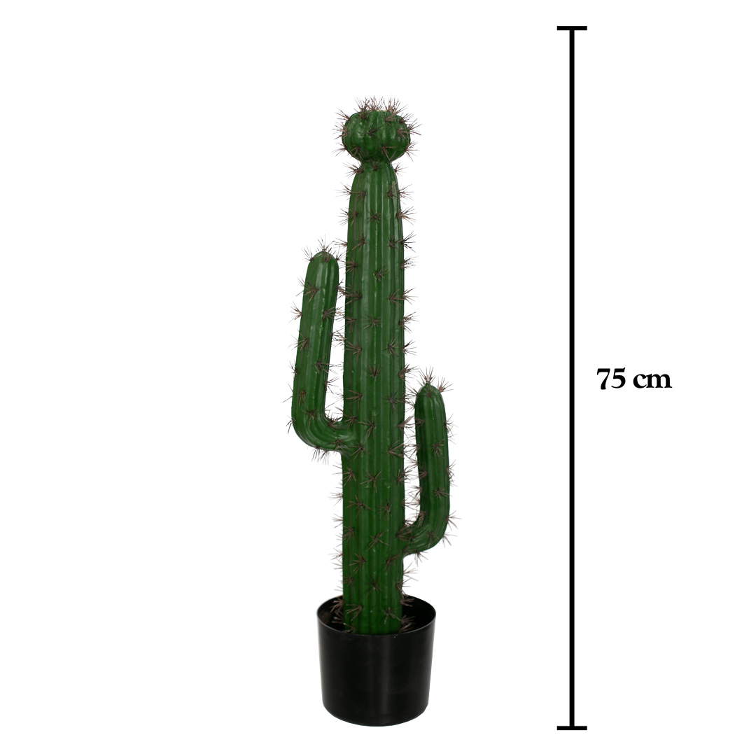 PLANTA CACTUS CEREUS 75CM *V.OSCURO