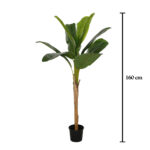 PLANTA PLATANERA 160CM *V.OSCURO