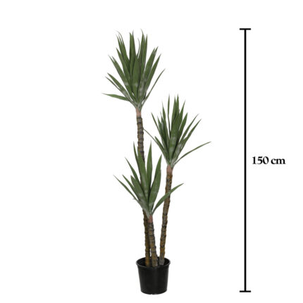 PLANTA YUCA X3 150CM *V.OSCURO