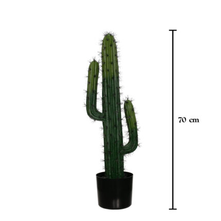 CACTUS ECHINOCACTUS GRUSONII 70CM *V.OSCURO