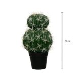 CACTUS ECHINOCACTUS GRUSONII 30CM *V.OSCURO
