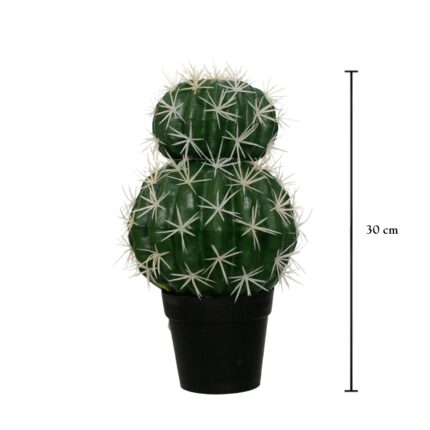 CACTUS ECHINOCACTUS GRUSONII 30CM *V.OSCURO