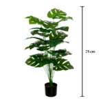 PLANTA COSTILLA 1.00MT *V.OSCURO