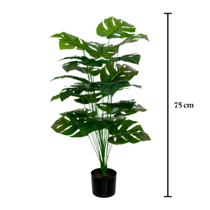 PLANTA COSTILLA 1.00MT *V.OSCURO