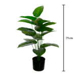 PLANTA FICUS (420863.F) *V.OSCURO