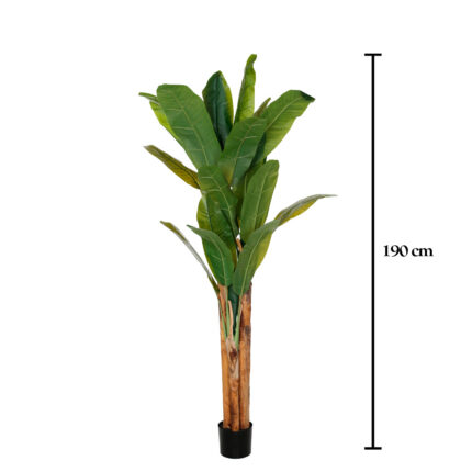 PLATANERA 190CM *V.OSCURO