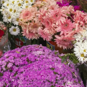 Escaparate de verano en floristería decorado con flores y plantas artificiales.