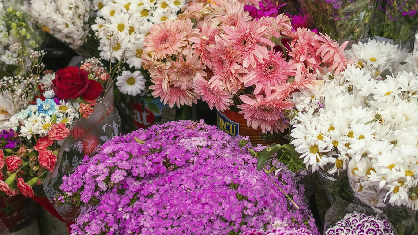 Escaparate de verano en floristería decorado con flores y plantas artificiales.