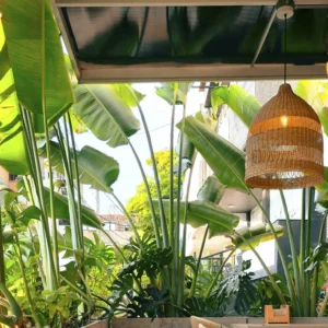 Terraza de restaurante decorada con plantas artificiales en verano.