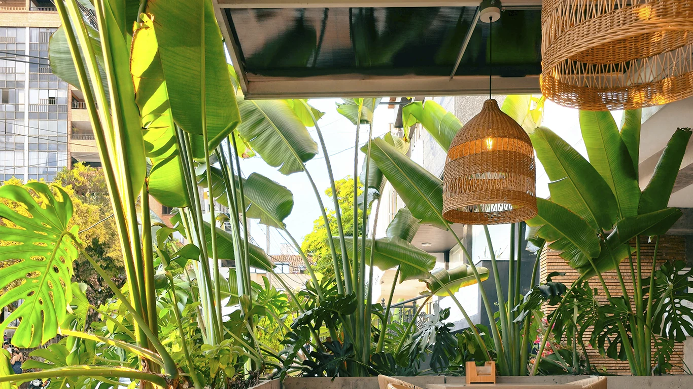 Terraza de restaurante decorada con plantas artificiales en verano.