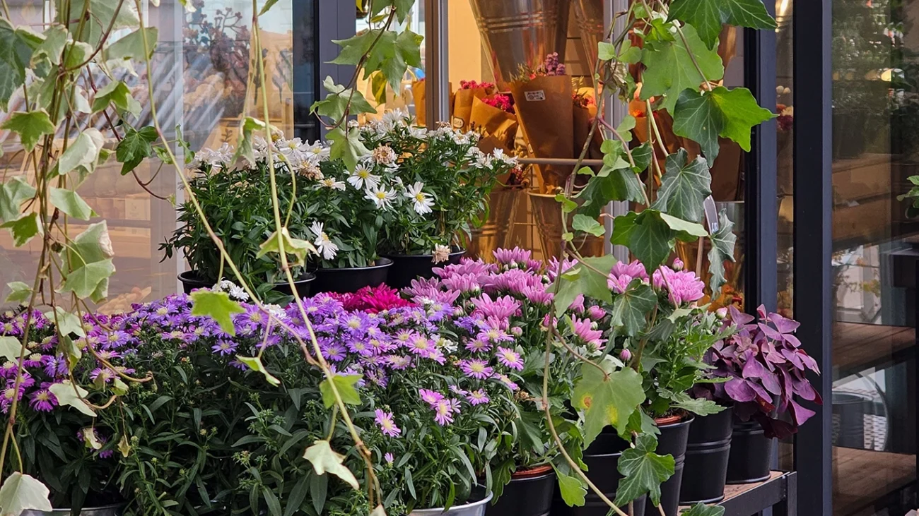 Escaparate de verano decorado con flores y plantas artificiales.