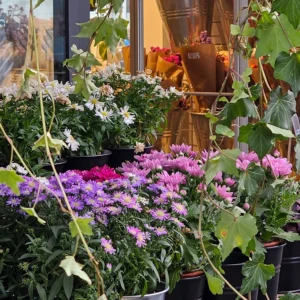 Escaparate de verano decorado con flores y plantas artificiales.
