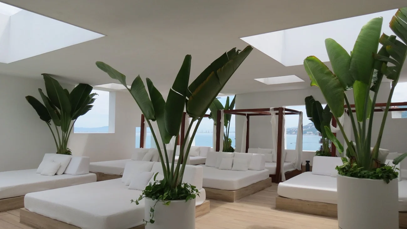 Plantas tropicales grandes en un espacio comercial decorado para verano.