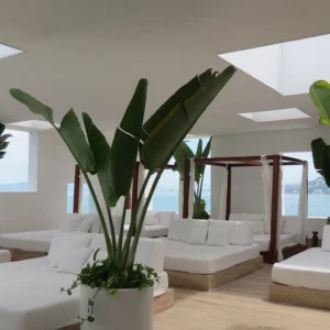 Plantas tropicales grandes en un espacio comercial decorado para verano.