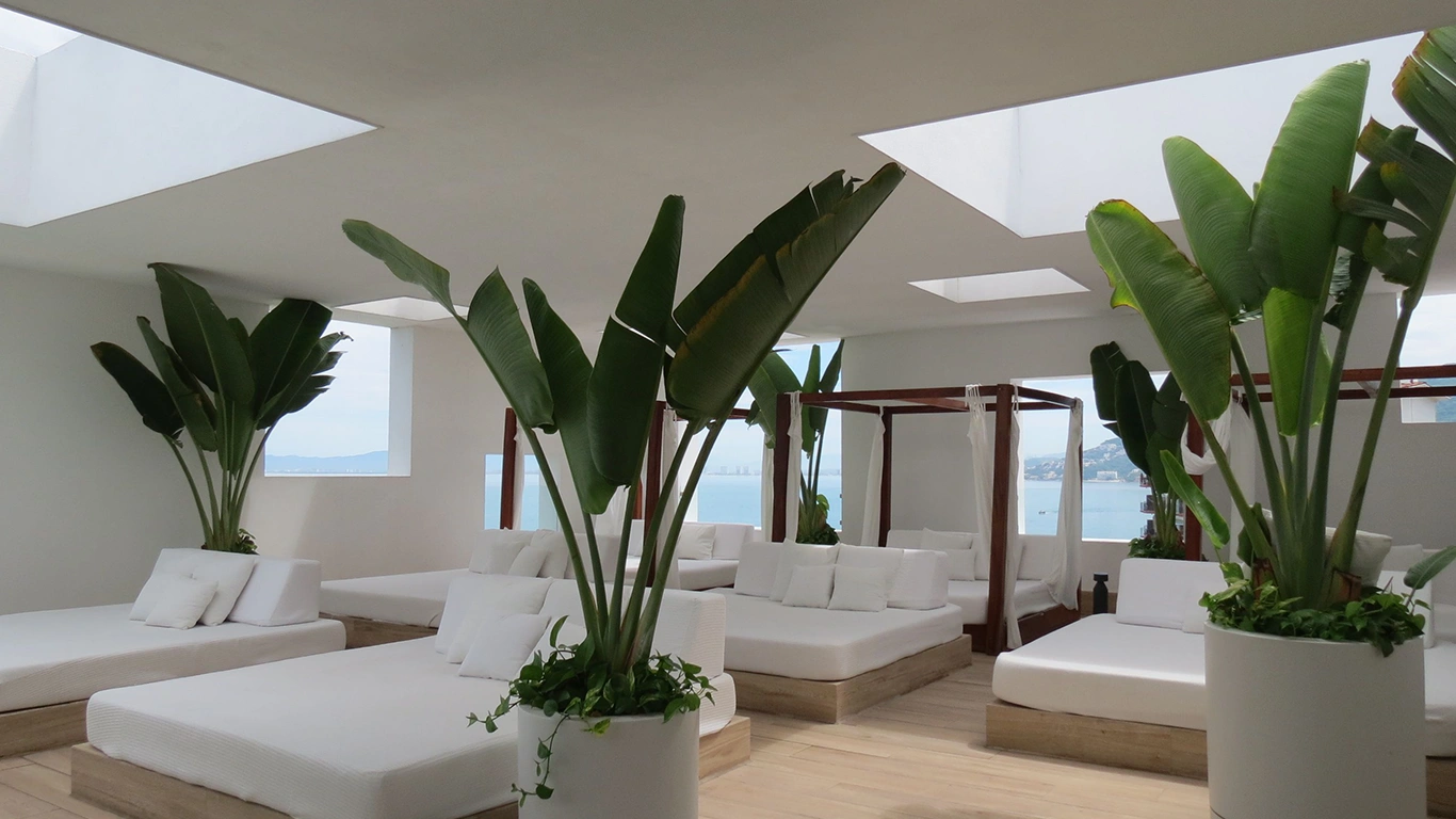 Plantas tropicales grandes en un espacio comercial decorado para verano.