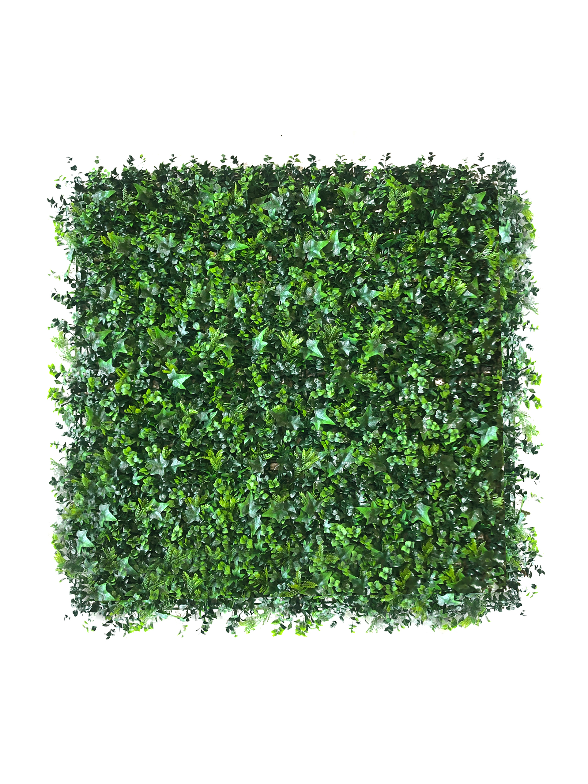 012567.jpg PLACA JARDIN ANTI-UVA