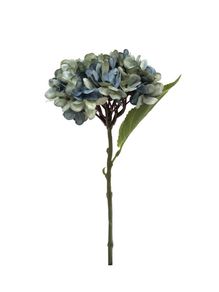 PICK HORTENSIA