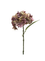 PICK HORTENSIA