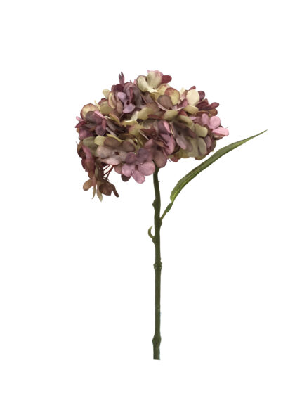 PICK HORTENSIA