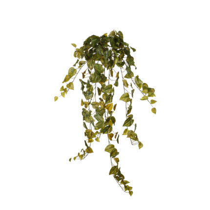 MATA COLGANTE POTHUS