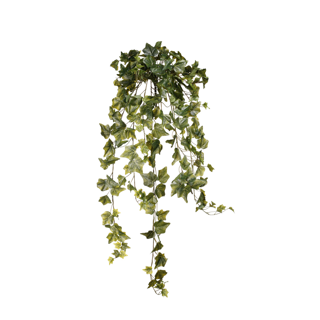 012477-19.jpg MATA COLGANTE HIEDRA
