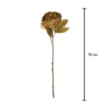 VARA DE PEONIA