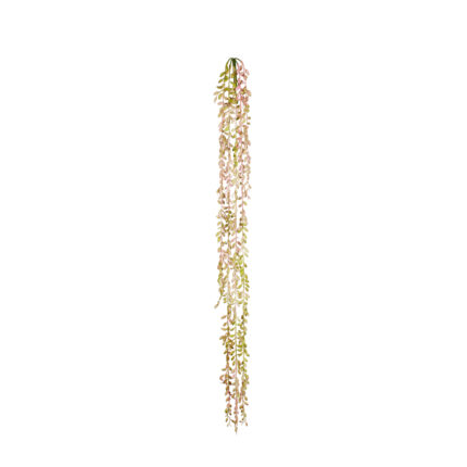 COLGANTE SEDUM
