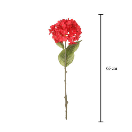 VARA HORTENSIA
