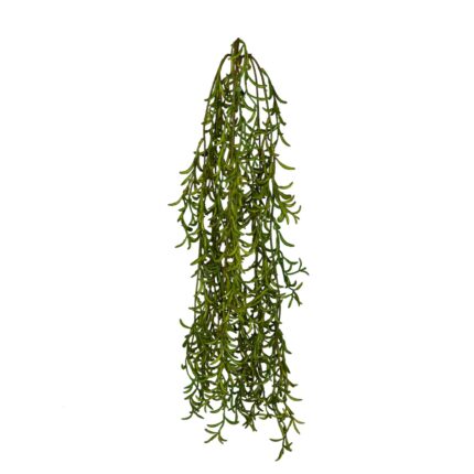 COLGANTE PODOCARPUS