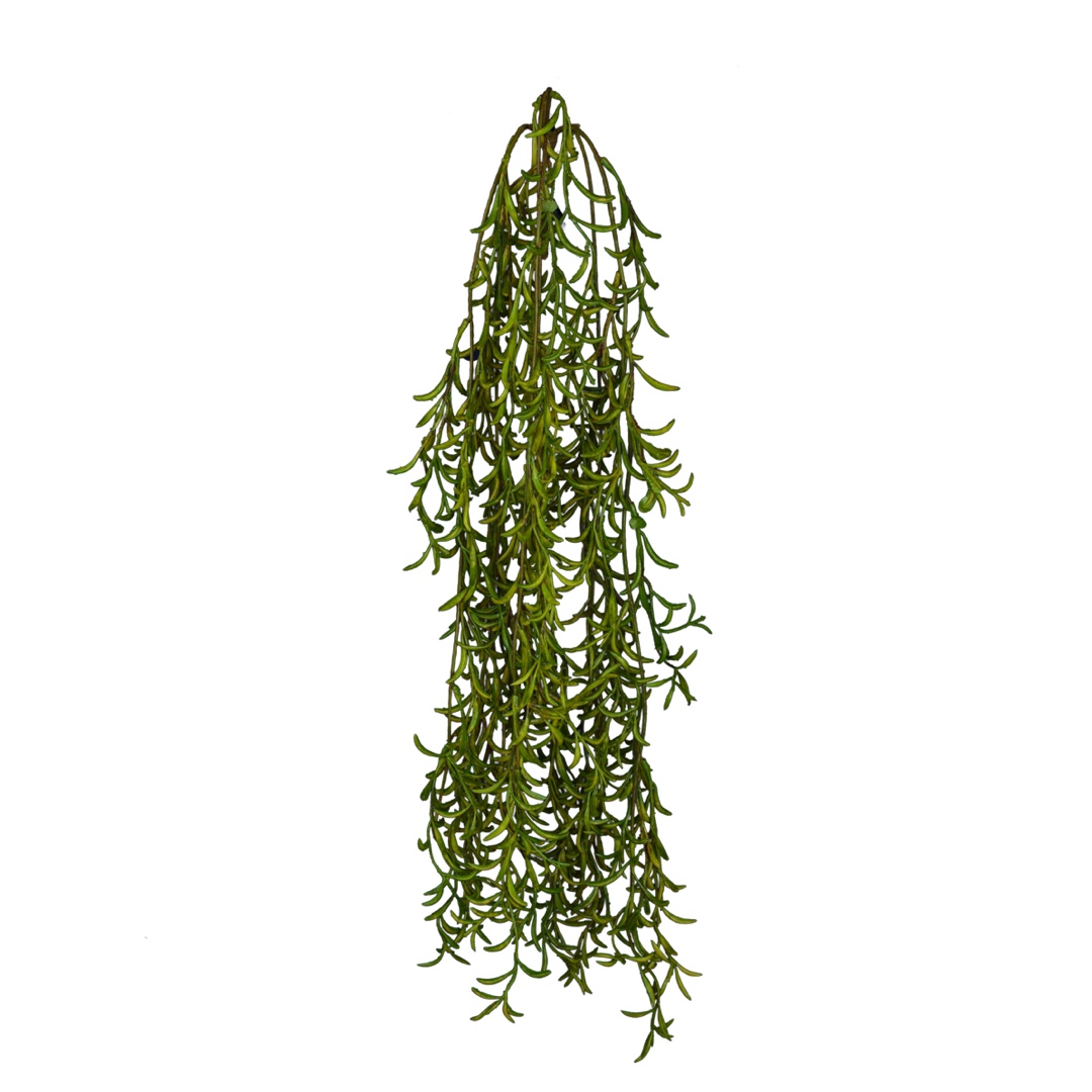 2451-19.jpg COLGANTE PODOCARPUS