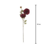 V.ZINNIA X3 *FUXIA
