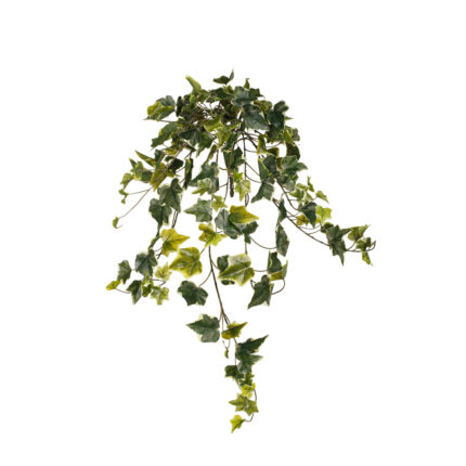 COLGANTE HIEDRA HOLANDESA 71CM