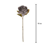 V.PEONIA ABIERTA OTOÑAL