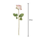 V.ROSA ALENA *FUXIA