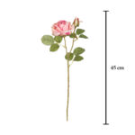 V.ROSA SOFIA