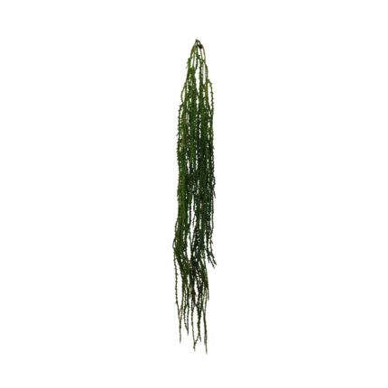 COLGANTE RHIPSALIS 95CM