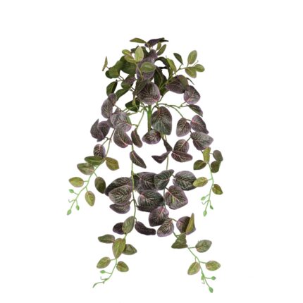 COLGANTE FITONIA