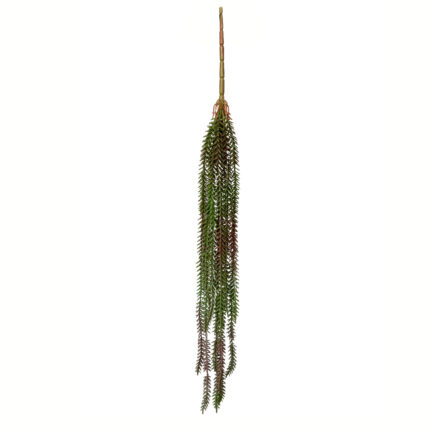 COLGANTE SUCCULENT (88) *MARRON