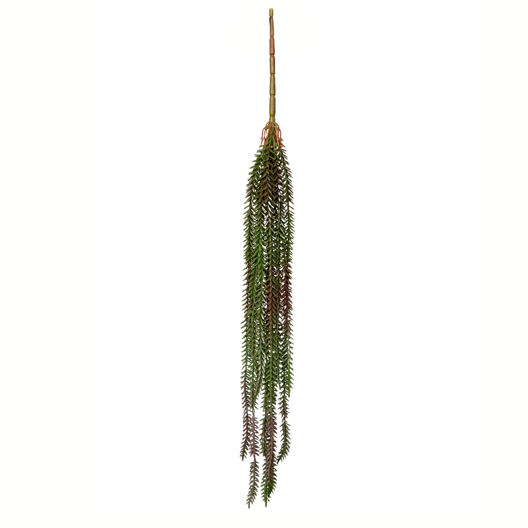 943026-17.jpg COLGANTE SUCCULENT (88) *MARRON