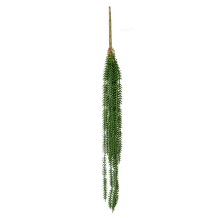 COLGANTE SUCCULENT *V.OSCURO