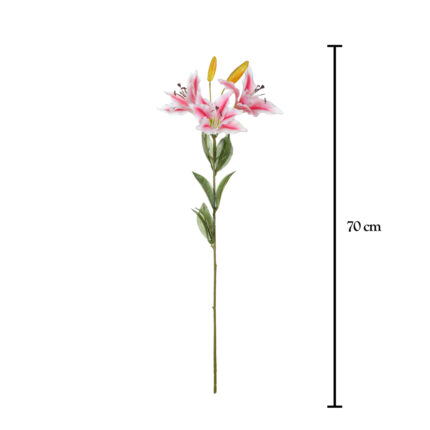 VARA LILY