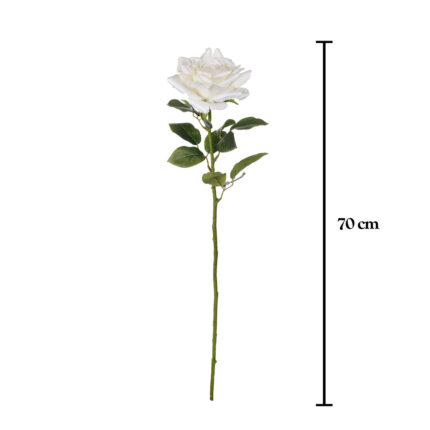 VARA ROSA SPRING