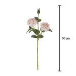 VARA ROSA MDN OTOÑAL
