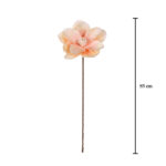 MAGNOLIA *FUXIA