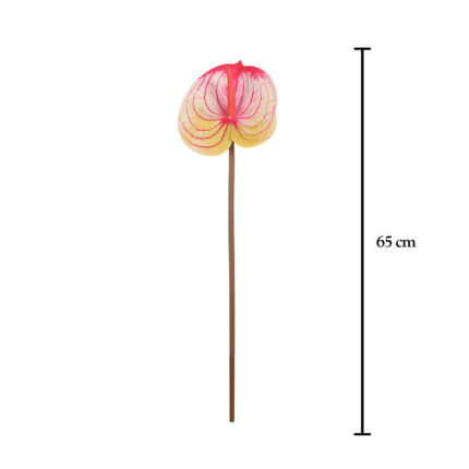 VARA ANTHURIUM