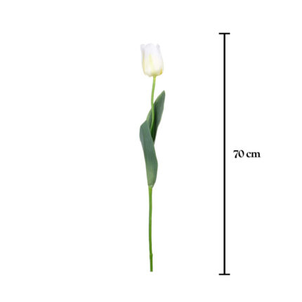 VARA TULIPAN