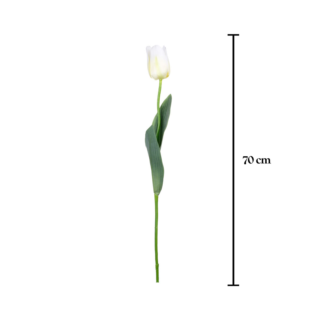 VARA TULIPAN