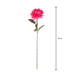 VARA ZINNIA *FUXIA